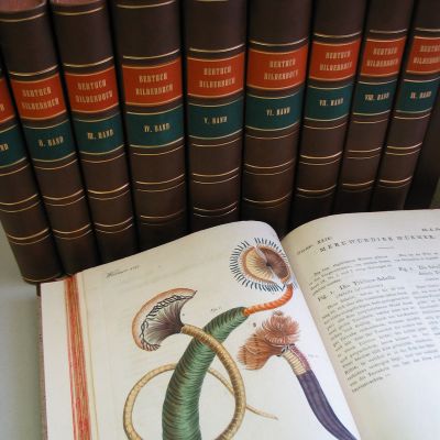 Buchbinderei-Schaeffler-Binden-bilderbuch-3