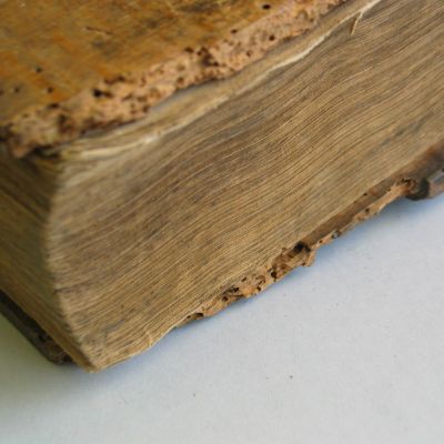 Buchbinderei-Schaeffler-Holzdeckelband_vor (2)