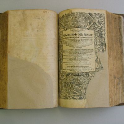 Buchbinderei-Schaeffler-Kräuterbuch_nach (2)