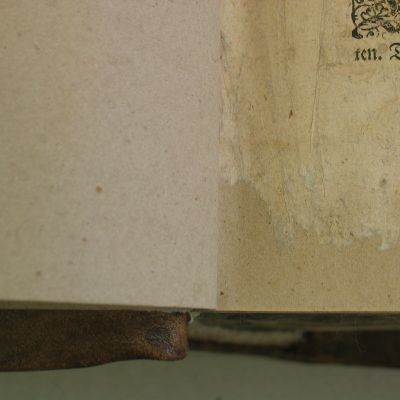 Buchbinderei-Schaeffler-Kräuterbuch_nach (4)