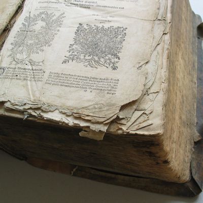 Buchbinderei-Schaeffler-Kräuterbuch_vor (3)