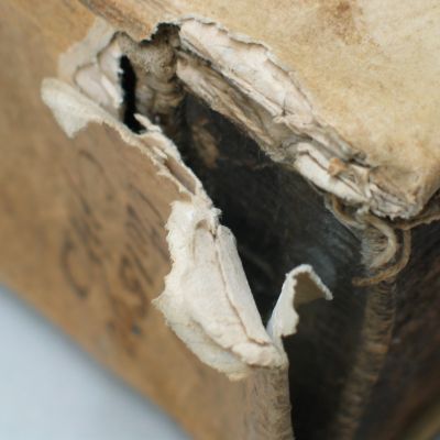 Buchbinderei-Schaeffler-Pergamentband_vor (2)