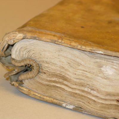 Buchbinderei-Schaeffler-Protokollband_vor (2)