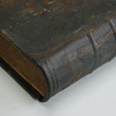 Familienbibel_nach (7)