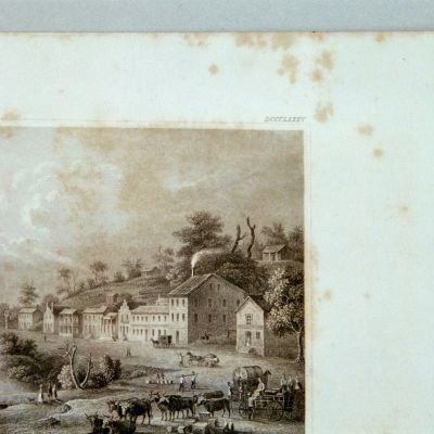 Papierrestaurierung (6)